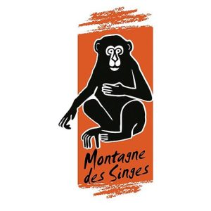 billet pas cher la montagne des singes