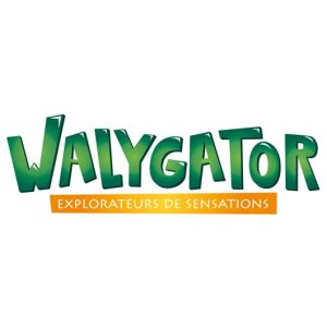 Billet Walygator Grand-Est pas cher
